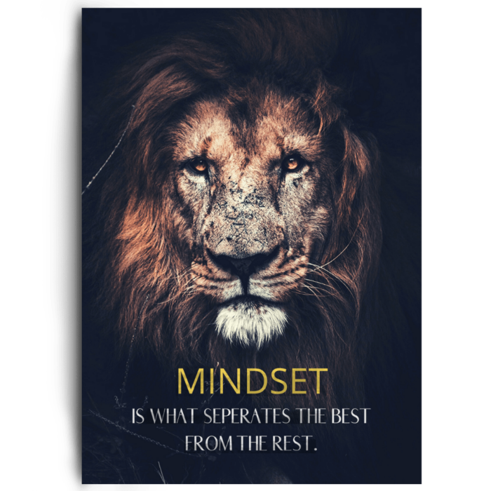 Mindset Is What Seperates The Best by inspird.de